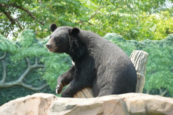 Recettes cuisines méditerranéennes pour un voyage gustatif authentique